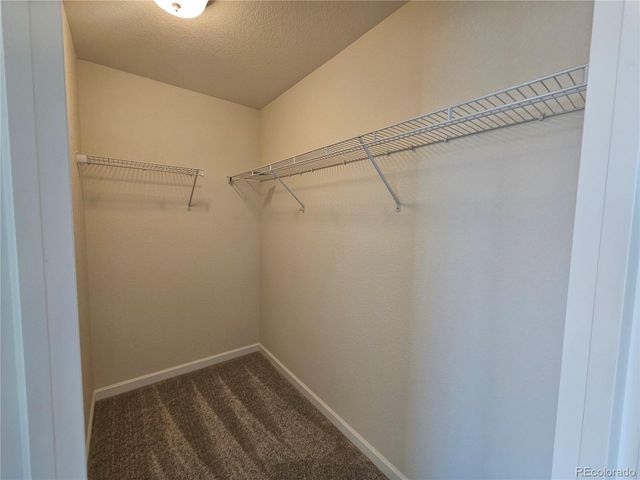 10253 Winter Gem Grove, Colorado Springs, CO 80925