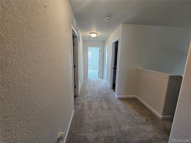 10253 Winter Gem Grove, Colorado Springs, CO 80925