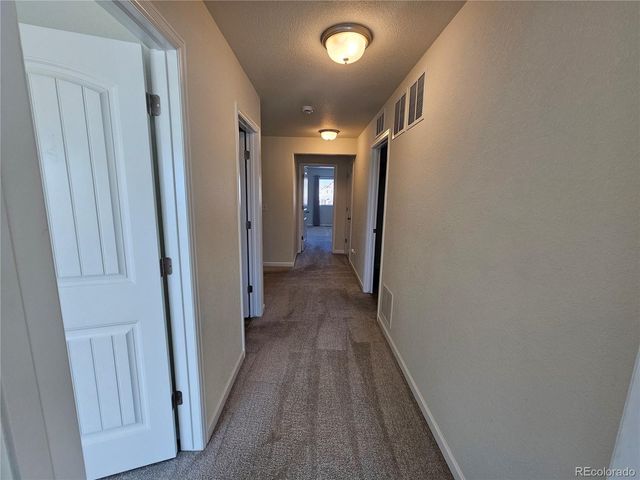 10253 Winter Gem Grove, Colorado Springs, CO 80925