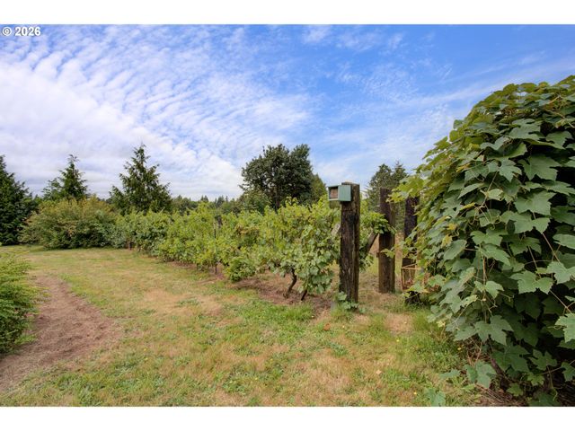 29901 Ne CHARITY Rd, La Center, WA 98629