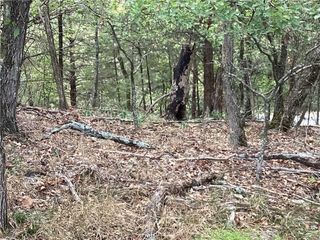 LOT 93 Oak Leaf Circle, Garfield, AR 72732