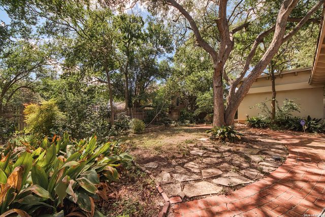 2923 Albin, San Antonio, TX 78209
