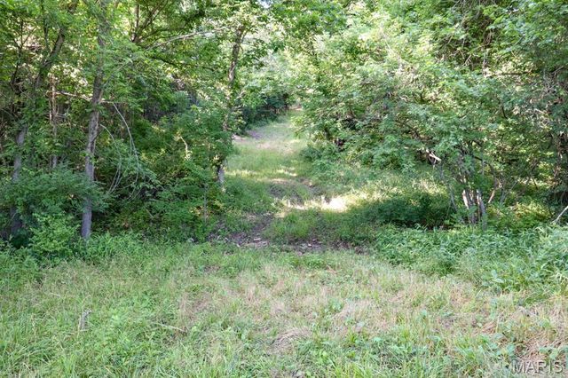 14832 Sleepy Hollow Drive, Marthasville, MO 63357
