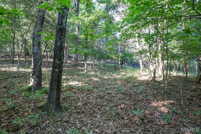 14832 Sleepy Hollow Drive, Marthasville, MO 63357