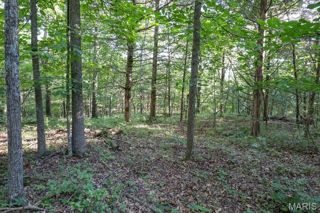 14832 Sleepy Hollow Drive, Marthasville, MO 63357