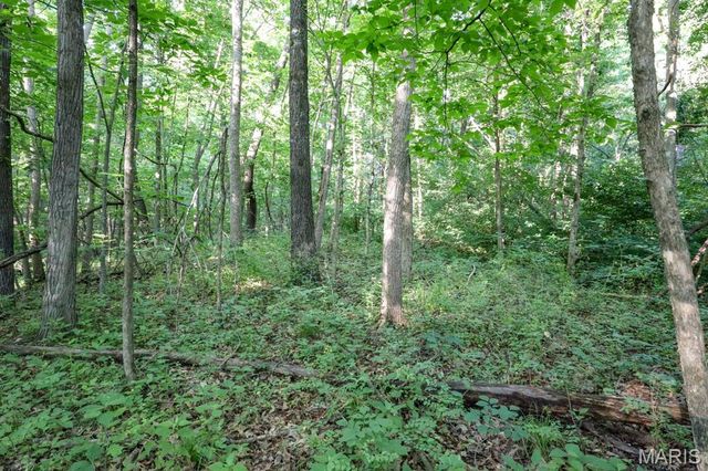 14832 Sleepy Hollow Drive, Marthasville, MO 63357