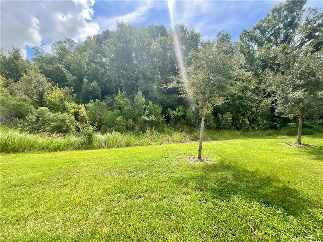 1720 HUBBELL ROAD, Wesley Chapel, FL 33543