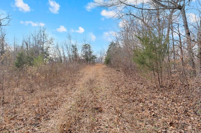 0 Possum Trott Road, Shelbyville, TN 37160