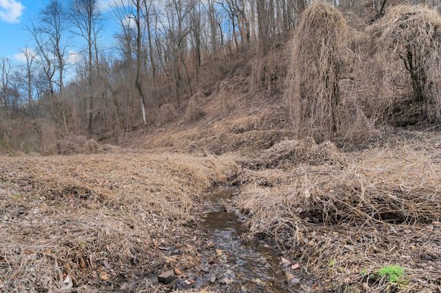 0 Possum Trott Road, Shelbyville, TN 37160