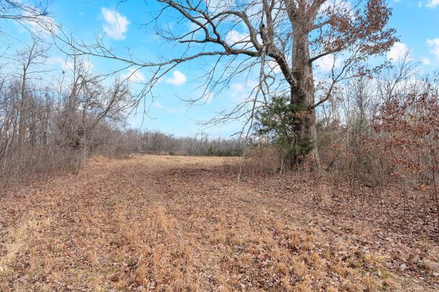 0 Possum Trott Road, Shelbyville, TN 37160