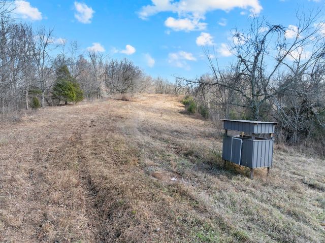 0 Possum Trott Road, Shelbyville, TN 37160