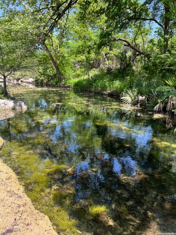 970 W Branch Crossing, Spring Branch, TX 78070