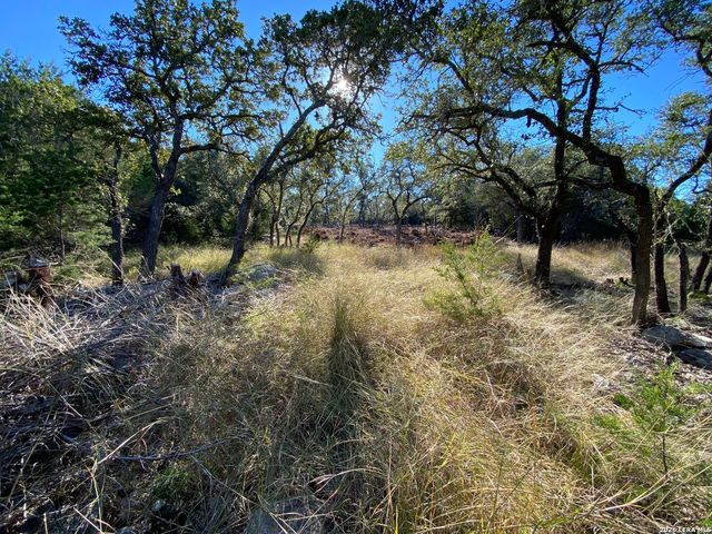 970 W Branch Crossing, Spring Branch, TX 78070