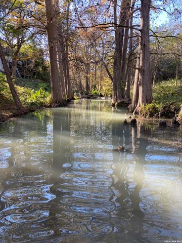 970 W Branch Crossing, Spring Branch, TX 78070