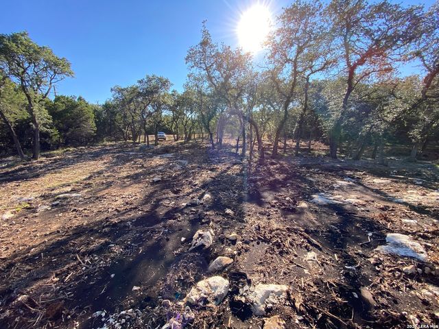 970 W Branch Crossing, Spring Branch, TX 78070