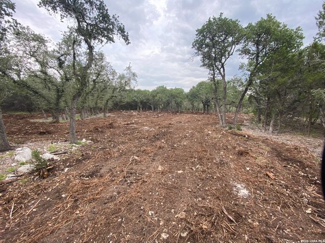 970 W Branch Crossing, Spring Branch, TX 78070