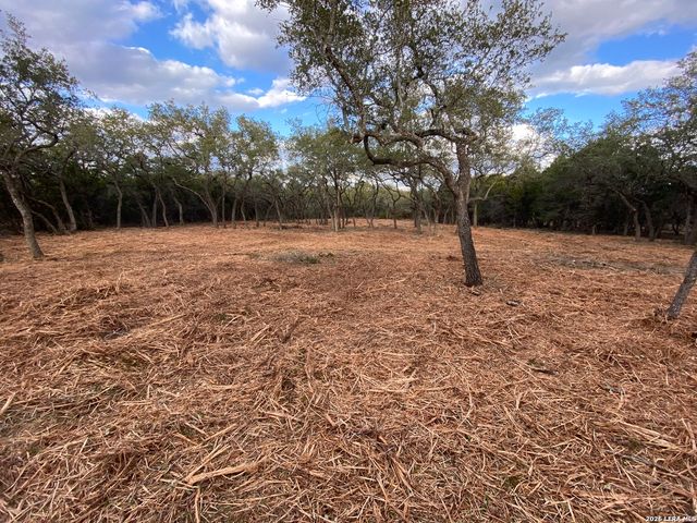 970 W Branch Crossing, Spring Branch, TX 78070