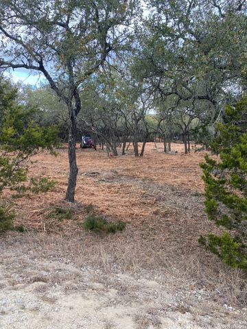 970 W Branch Crossing, Spring Branch, TX 78070