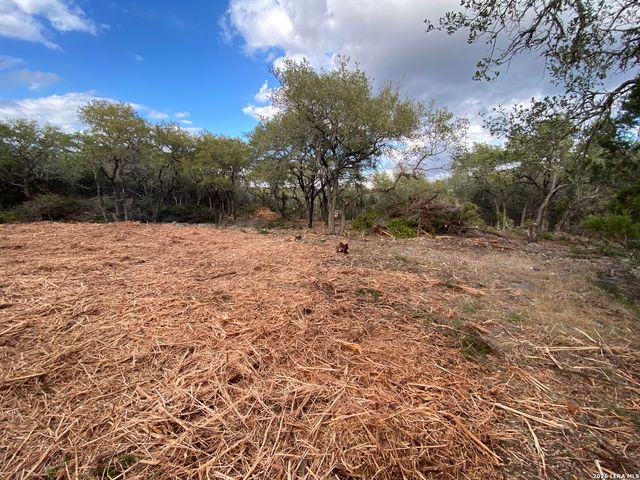 970 W Branch Crossing, Spring Branch, TX 78070