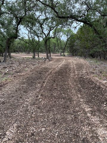 970 W Branch Crossing, Spring Branch, TX 78070