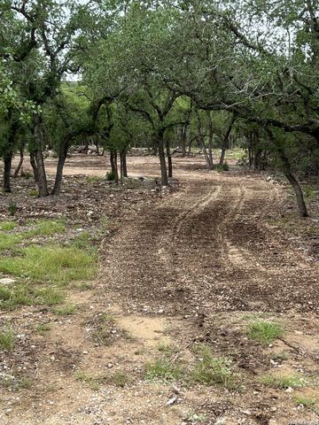 970 W Branch Crossing, Spring Branch, TX 78070