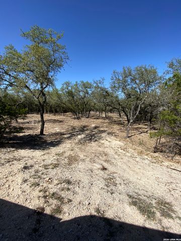 970 W Branch Crossing, Spring Branch, TX 78070