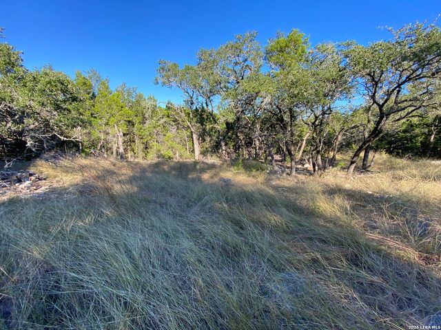 970 W Branch Crossing, Spring Branch, TX 78070