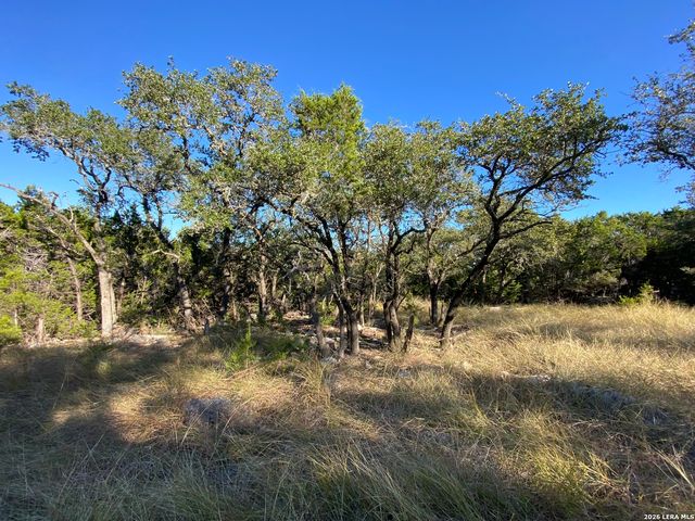 970 W Branch Crossing, Spring Branch, TX 78070