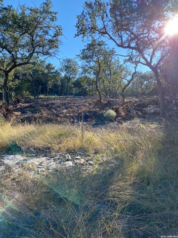 970 W Branch Crossing, Spring Branch, TX 78070