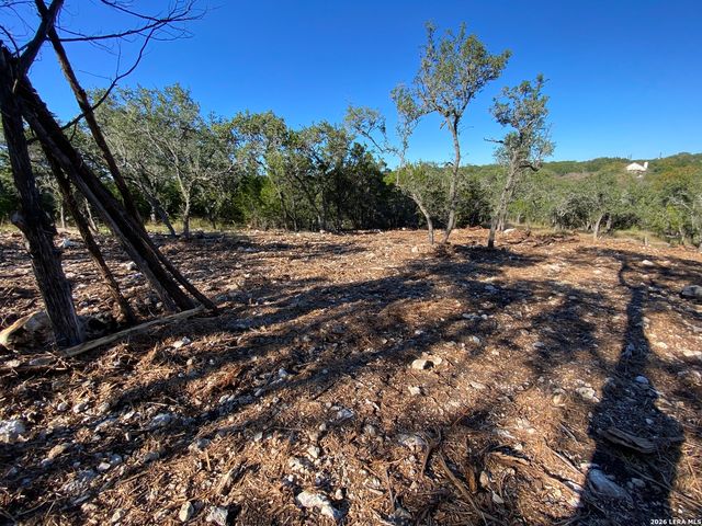 970 W Branch Crossing, Spring Branch, TX 78070