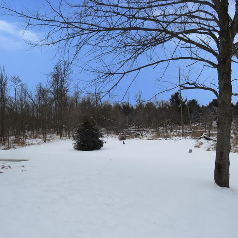 3481 Jefferson Road, Ionia, MI 48846