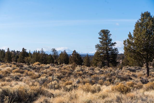 12233 NW Steelhead Falls Drive, Terrebonne, OR 97760