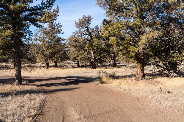 12233 NW Steelhead Falls Drive, Terrebonne, OR 97760