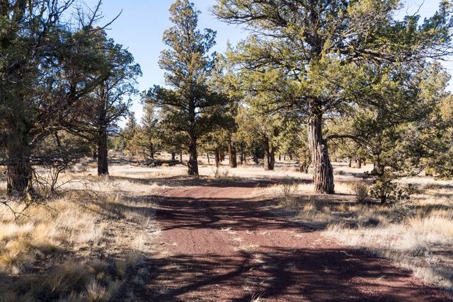 12233 NW Steelhead Falls Drive, Terrebonne, OR 97760