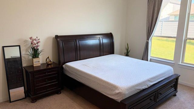 524 Oakmoss Street, Little Elm, TX 76227