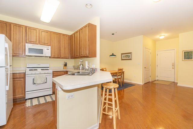 1291 W Lake Street 103, Addison, IL 60101