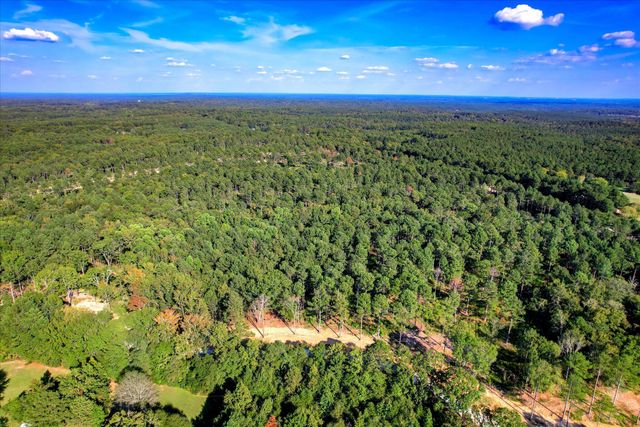 555 Rabbit Pen Drive, Appling, GA 30802