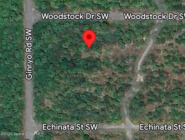 2994 Woodstock Drive SW, Palm Bay, FL 32908