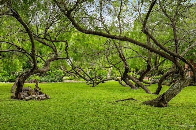 27603 Palo Verde Road, San Benito, TX 78586