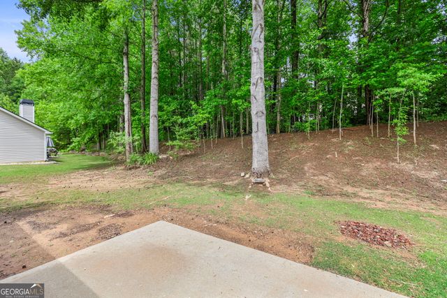 171 Lake Cove Approach, Newnan, GA 30265