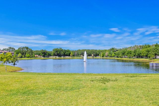 18908 WILLOWMORE CEDAR DRIVE, Lutz, FL 33558