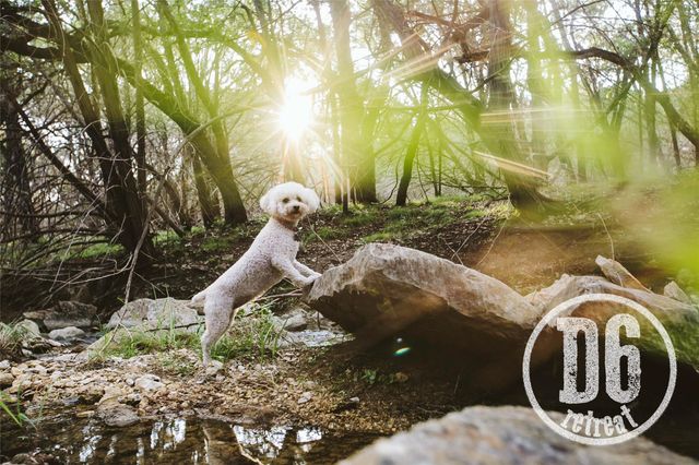 806 Bell Springs RD, Dripping Springs, TX 78620