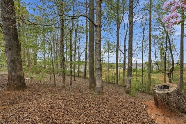 6630 Brittney Lane, Cumming, GA 30040