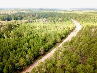 TBD 10.2+/- Cr 2310, Woodville, TX 75979