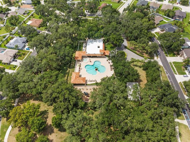 25237 SEVEN RIVERS CIRCLE, Land O Lakes, FL 34639