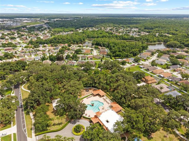 25237 SEVEN RIVERS CIRCLE, Land O Lakes, FL 34639