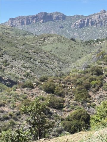 12110 Yellow Hill, Malibu, CA 90265
