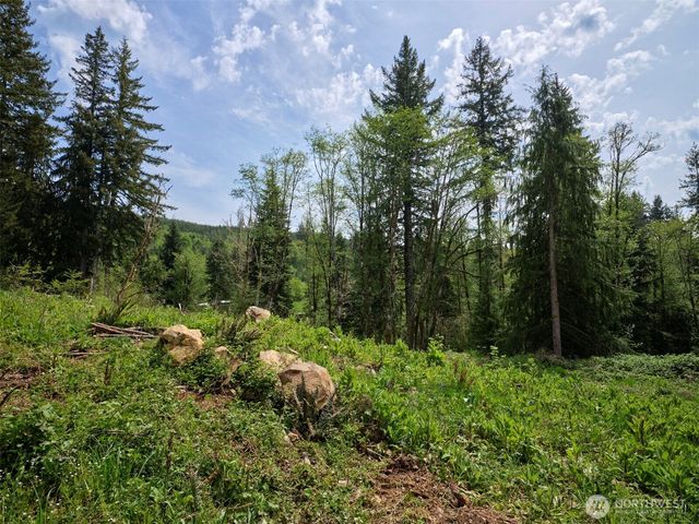140 Skinner Road, Woodland, WA 98674