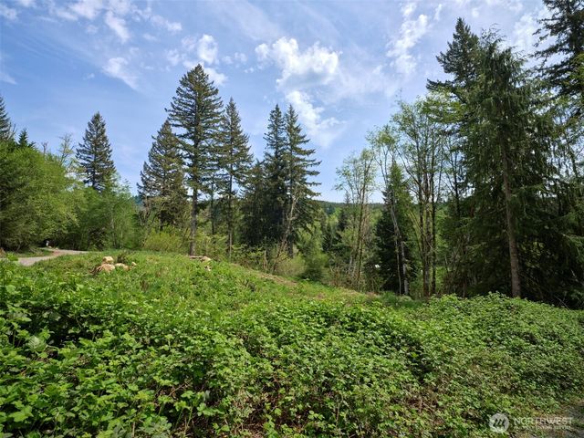 140 Skinner Road, Woodland, WA 98674