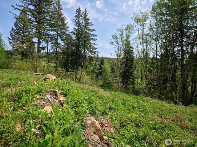 140 Skinner Road, Woodland, WA 98674